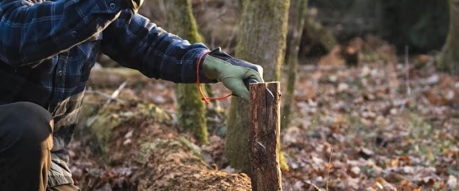Как рубить дрова безопасно