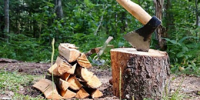 Топор для рубки дров